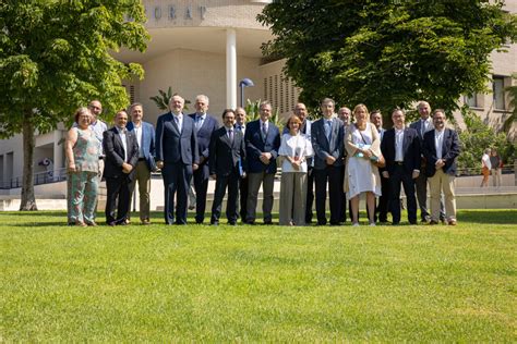 Xarxa Vives D Universitats