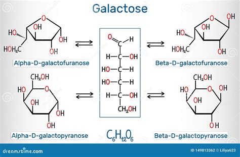 D Galactose Structure