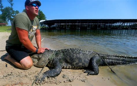 Beaumonts Gary Saurage Helps Local Residents With Alligator Problem Local News