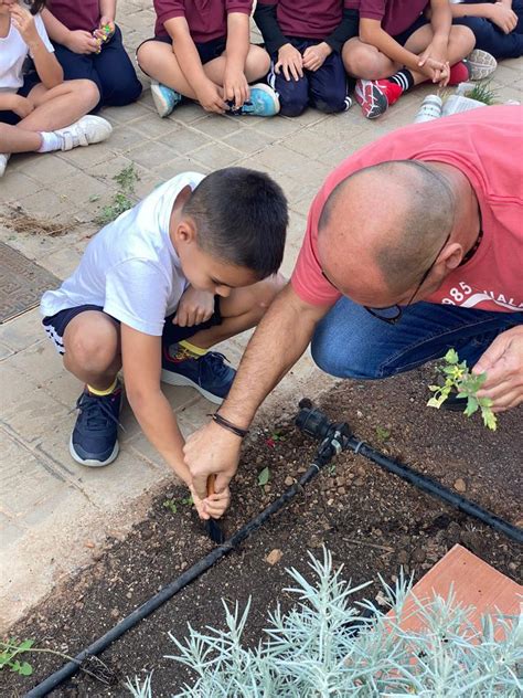 Nuestro huerto escolar Weblog CEIP Chano Sánchez