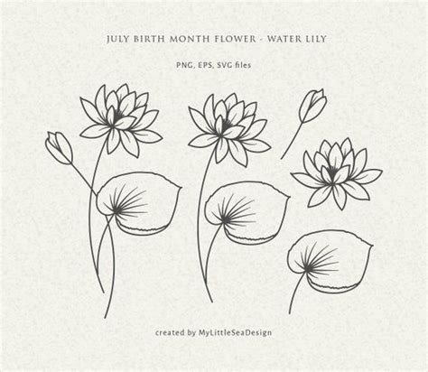 Three Flowers Are Shown With The Words July Birth Month Flower Water