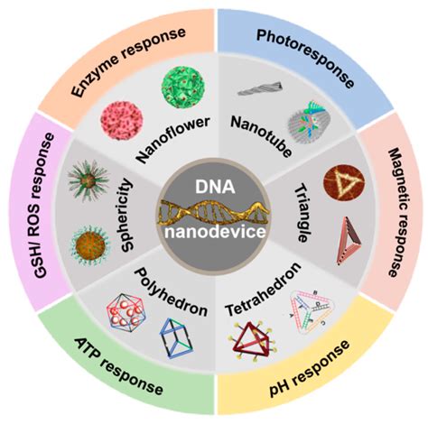 Biomolecules Free Full Text Dna Nanodevice Based Drug Delivery Systems