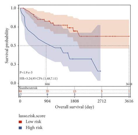 Prognostic Risk Model Construction And Verification A Lasso For Risk