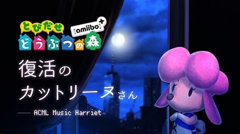 【睡眠用】とびだせどうぶつの森 Bgm カットリーヌ Acnl Music Harriet 【ビューティーサロン・スピーディ／オルゴール