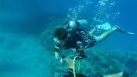 Scuba Diving Vs Snorkeling Which Is Right For You In The Uae