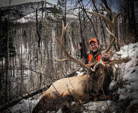 Colorado Elk Hunting On Public Land: A Unique Trophy - NADH