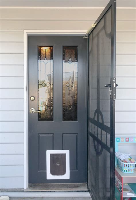 Pet Door in Timber Door Gallery - Melbourne Pet Doors
