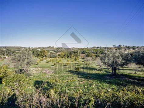 Terreno Agricolo Strada Statale Sud Occidentale Sicula Noto Rif