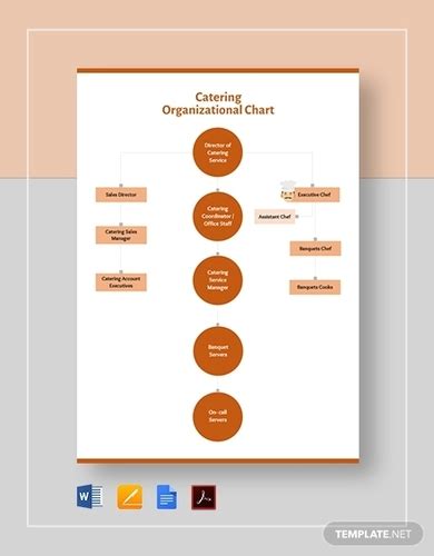 10 Vertical Organizational Chart Google Docs MS Word Pages Editable