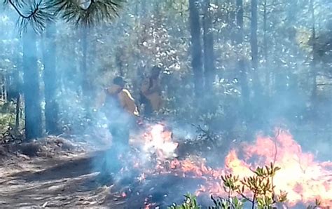 Registra Chihuahua 21 Incendios Forestales En Lo Que Va Del Año