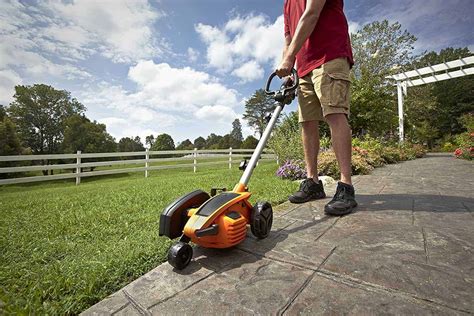 Best Brush And Grass Cutter 2022 1001 Gardens