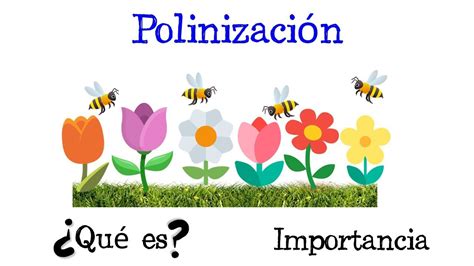 Compuesto jerarquía entidad tipos de polinizacion de las plantas índice