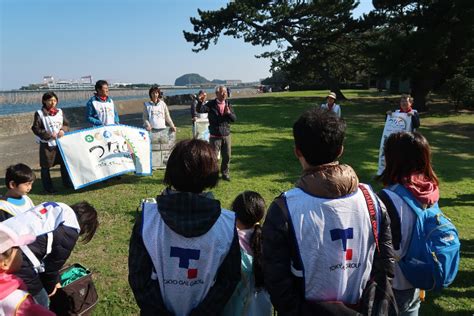 東京ガス（株）がアマモの播種を実施しました。｜【東京湾umiプロジェクト】