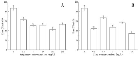 Effects Of Manganese And Zinc On The Growth Process Of Phytophthora