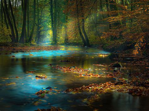 River In Autumn Wallpapers - Wallpaper Cave