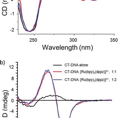 CD Spectra Of CT DNA In The Absence And Presence Of A 1 And B