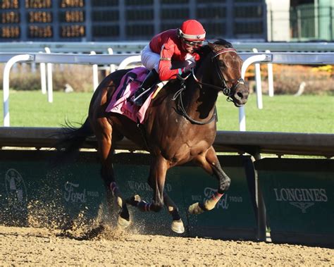 Xigera fue un espectáculo en el Falls City Stakes DRF en Español