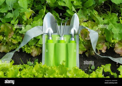Set Of Gardening Tools Devices For Cultivating The Land In The Beds