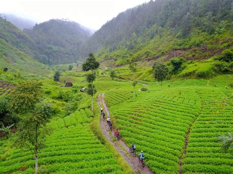 Surga Tersebunyi Wisata Alam Malang Info Malangan