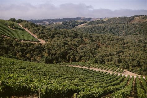 Paso Wine Tasting Tour Fresno Paso Robles Wine Country Alliance