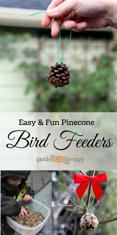 Diy Wild Bird Suet Feeder Pine Cone Bird Feeder Bird Feeders Bird