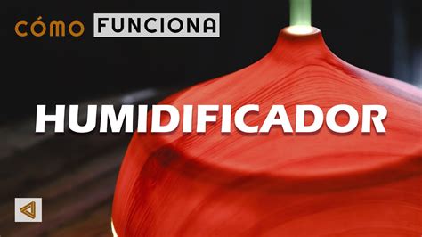 C Mo Funciona Un Humidificador Qu Beneficios Tiene Es Compatible