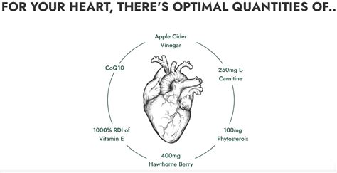 Heart Miracle 32oz By Century Systems