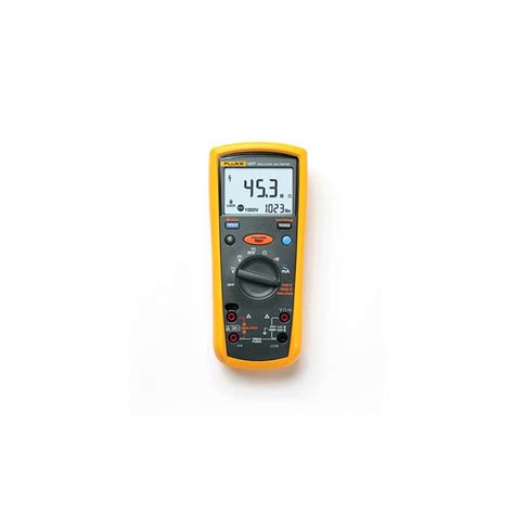 Fluke True Rms Megohmmeter Insulation Resistance Tester And Mu