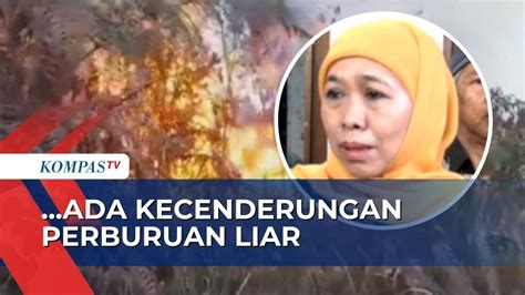 Karhutla Di Gunung Arjuno Khofifah Sebut Adanya Unsur Kesengajaan