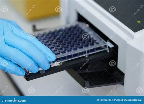 ELISA Plate To Measure OD with Microplate Reader. Stock Image - Image ...