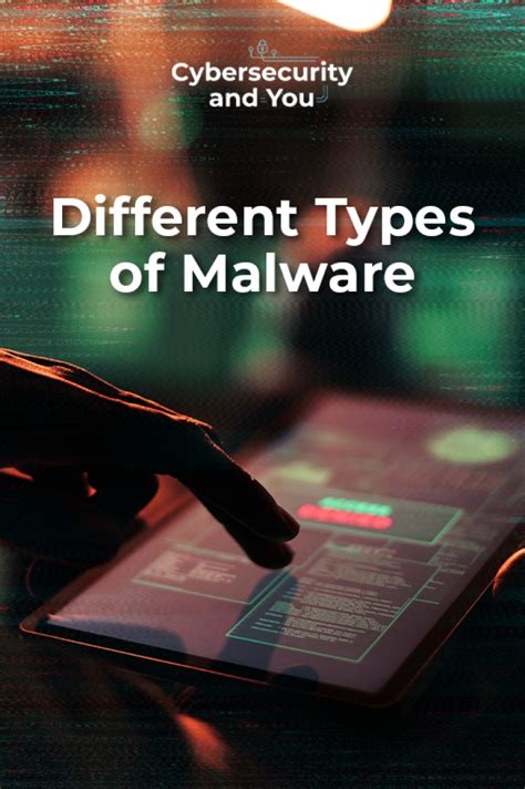 Different Types of Malware – OpenAcademy App