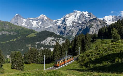 Be Der Blm Zwischen Winteregg Und Gr Tschalp