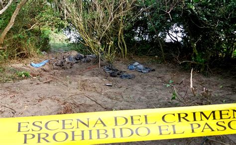 Han Encontrado 5 Mil Restos Humanos En Fosa Clandestina Del Arbolillo