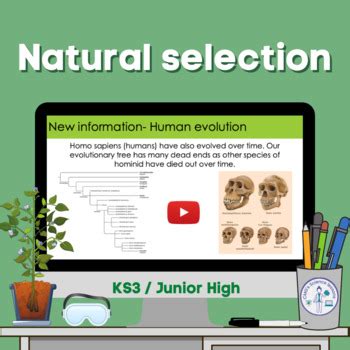 Natural Selection KS3 By CMGs Science Lessons TpT