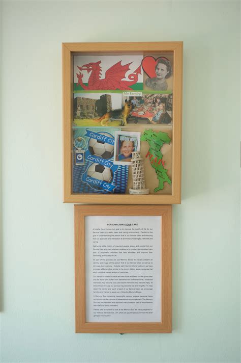 Our Model of Care - Alpha Health Care