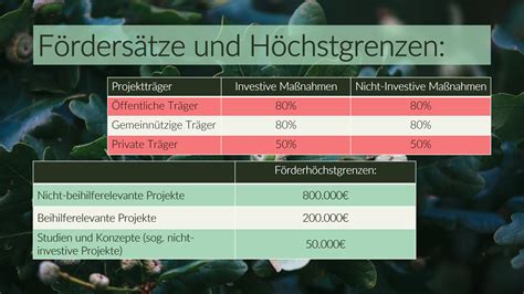 Projektaufruf Startschuss Der Leader F Rderperiode