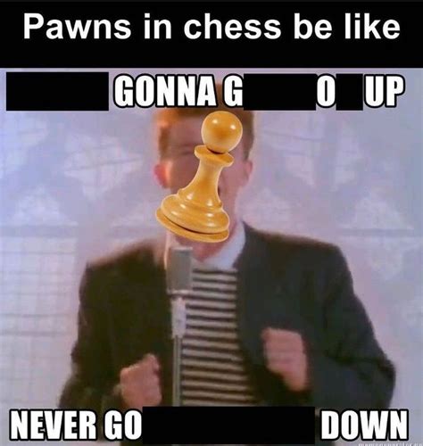 Collection Of Funny Chess Memes - Chess Forums - Chess.com