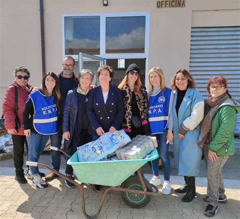 Nuova Distribuzione Di Cibo Alle Colonie Feline L Ortica Arezzo