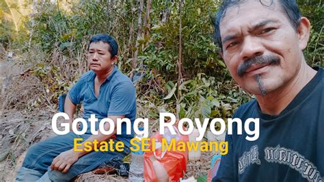 Estate Mawang II Gotong Royong Perbaiki Gorong Gorong 2 Unit YouTube