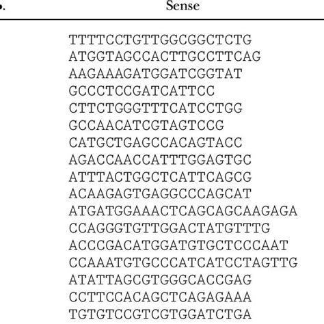 Primer Pairs Used For Quantitative Real Time Pcr To Assess Steady State