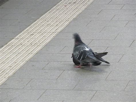 Sex Am Bahnhof Darf Das Sein Abseits Der Eisenbahn Off Topic Saarlandbahnen De