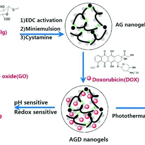 Scheme of synthesis and characterization of the GO-alginate nanogel (AG ...