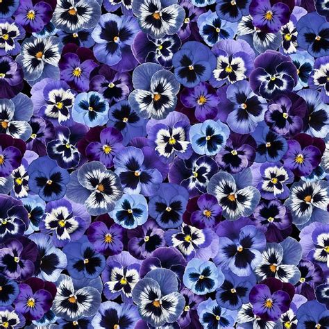 Pansies Fabric - Etsy