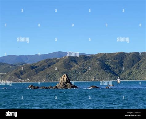The Rugged Wellington Coastline New Zealand Stock Photo Alamy