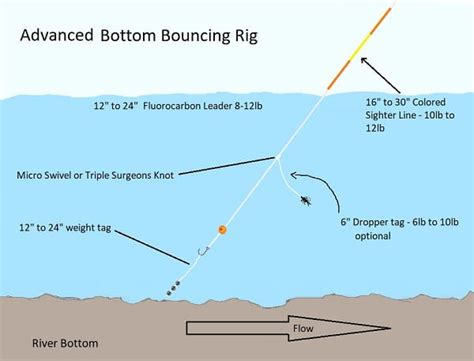 Fishing With Beads Guide Tips For More Fish