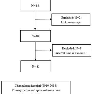 Internal And Calibration Plots Of Changzheng Nomogram Through