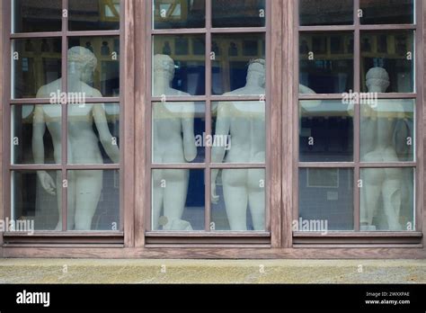 From Behind Sculptures Male Figures Cast Collection In The Window