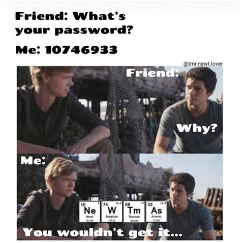 You Wouldnt Get It Maze Runner Funny Newt Maze Runner Maze