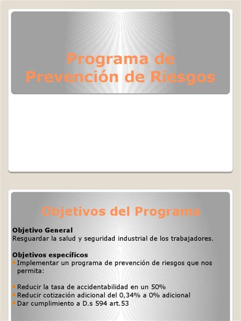 Pdf Programa De Prevenci N De Riesgos Romi Dokumen Tips