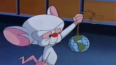 Pinky Y Cerebro Regresan Conquistar N El Mundo Esta Vez Me Lo